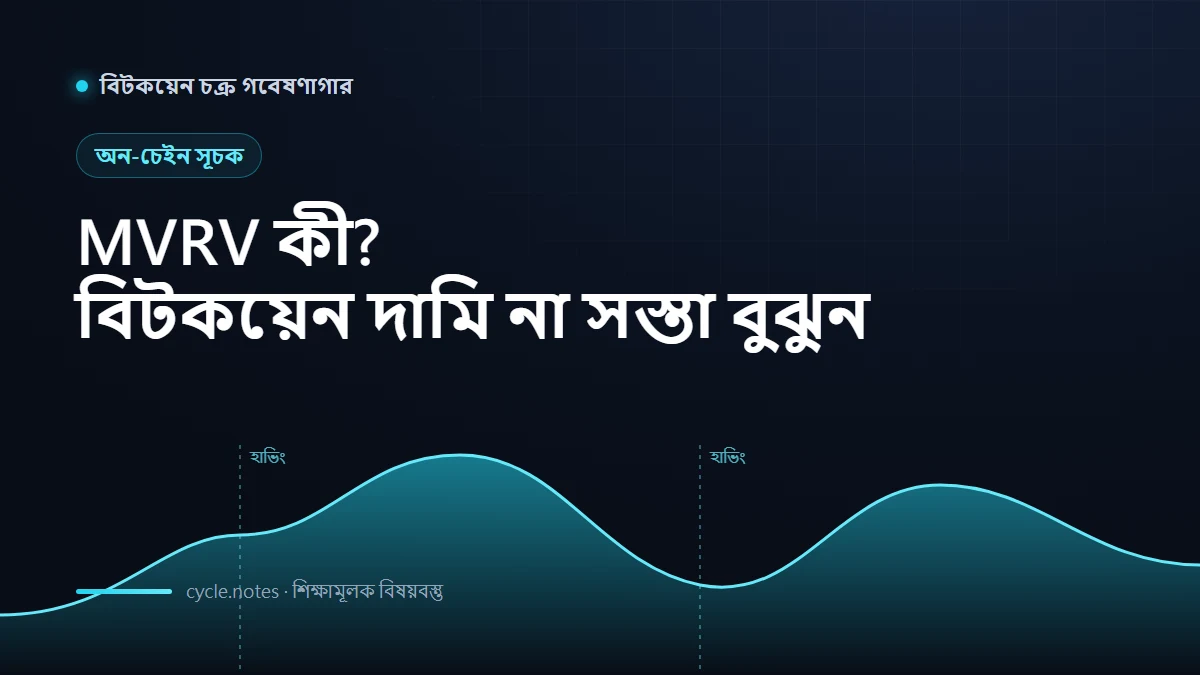 MVRV কী? একটি সূচক দিয়ে বুঝুন বিটকয়েন এখন দামি না সস্তা