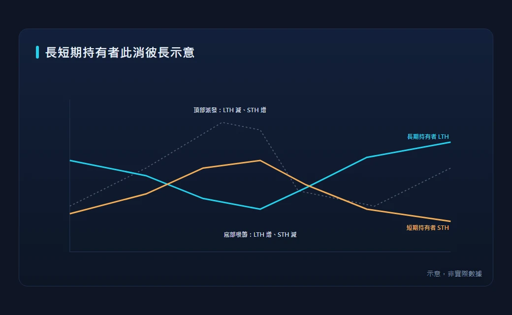 LTH 與 STH 持有量此消彼長示意圖，標註頂部派發與底部吸籌