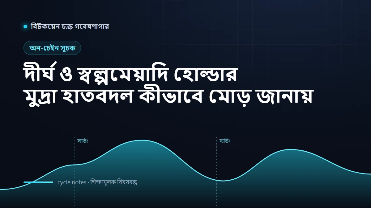 Bitcoin LTH ও STH কী? দীর্ঘমেয়াদি ও স্বল্পমেয়াদি হোল্ডারের কয়েন হাতবদল