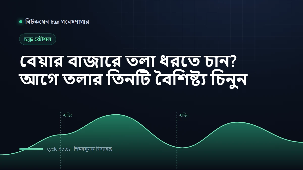 বিটকয়েন বিয়ার মার্কেটের তলানি কীভাবে চিনবেন? তিনটি গুরুত্বপূর্ণ লক্ষণ