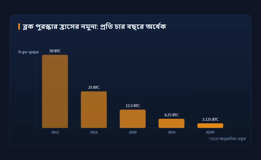 বিটকয়েন ব্লক পুরস্কার নিচে নামার চিত্র: বার চার্টে প্রতিটি হাভিংয়ের পর প্রতি ব্লকের পুরস্কার ৫০ থেকে ক্রমান্বয়ে অর্ধেক হওয়া দেখানো (স্কিম্যাটিক)