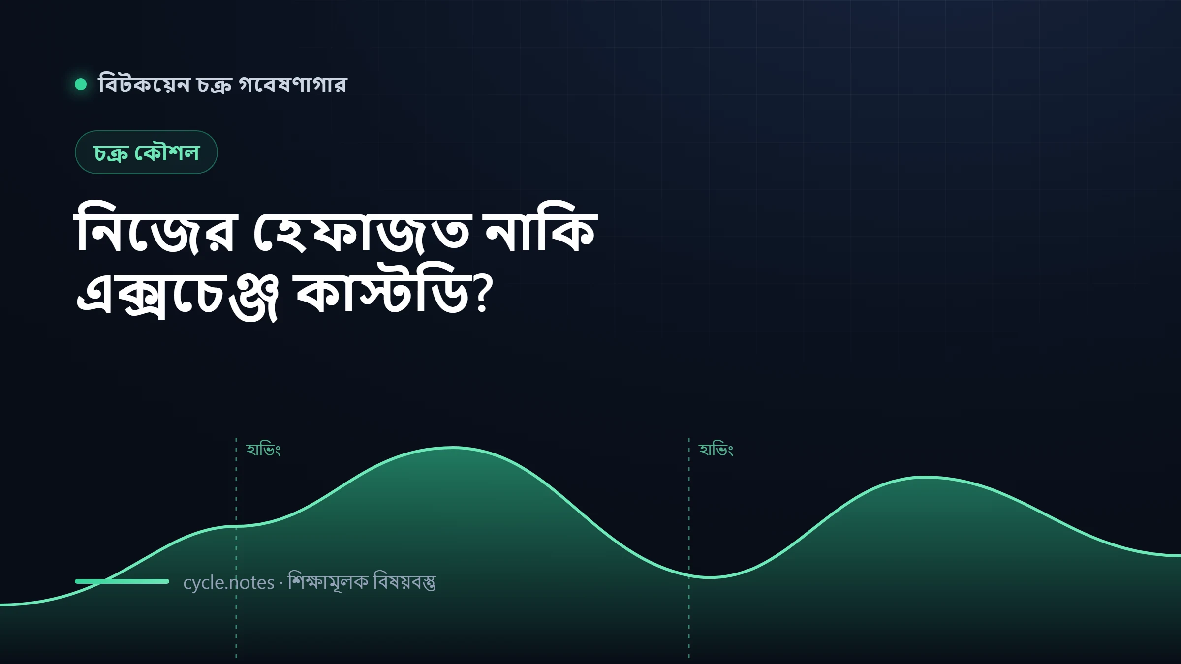 বিটকয়েন নিজের হেফাজতে রাখবেন নাকি এক্সচেঞ্জে: সিদ্ধান্ত ও ঝুঁকির তালিকা