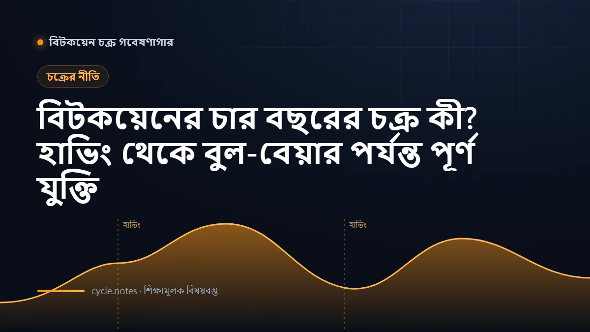 বিটকয়েনের চার বছরের চক্র কী? হাভিং থেকে বুল-বেয়ার পর্যন্ত সম্পূর্ণ যুক্তি