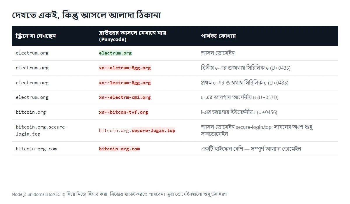টেবিল: electrum.org এবং সিরিলিক, আর্মেনীয় ও ইউক্রেনীয় অক্ষর মেশানো দেখতে-একই ডোমেইনগুলো Punycode-এ রূপান্তরের পর xn--elctrum-8gg.org, xn--lectrum-6gg.org, xn--electrm-cmi.org ও xn--bitcon-tvf.org হয়ে যায়; সাথে সাবডোমেইন ছদ্মবেশ ও হাইফেন দেওয়া নকলের উদাহরণ, প্রতিটির আসল রেজিস্টার্ড ডোমেইন চিহ্নিত