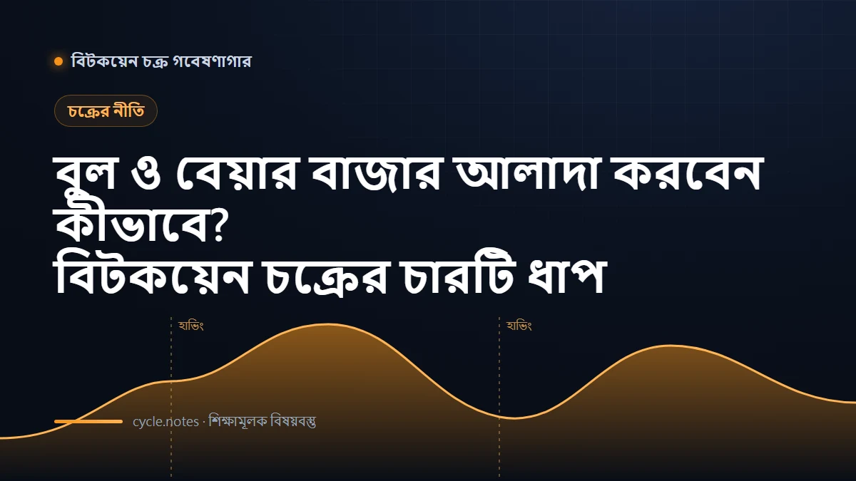 বিটকয়েন বুল-বেয়ার চক্র: সঞ্চয় থেকে পতনের চার ধাপ